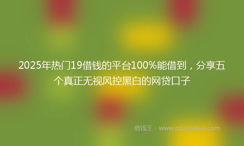 2025年热门19借钱的平台100%能借到，分享五个真正无视风控黑白的网贷口子