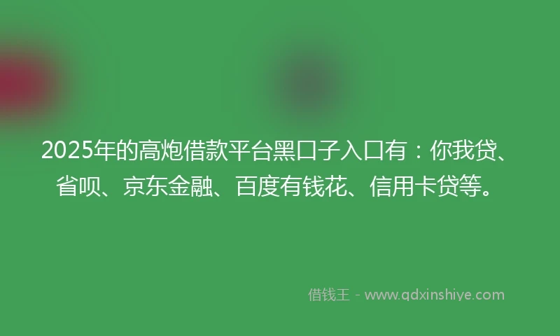 2025年的高炮借款平台黑口子入口有：你我贷、省呗、京东金融、百度有钱花、信用卡贷等。