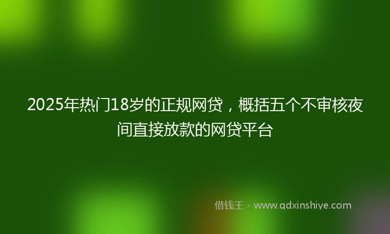 2025年热门18岁的正规网贷，概括五个不审核夜间直接放款的网贷平台