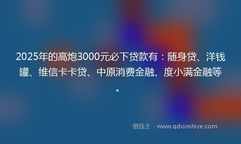 2025年的高炮3000元必下贷款有：随身贷、洋钱罐、维信卡卡贷、中原消费金融、度小满金融等。
