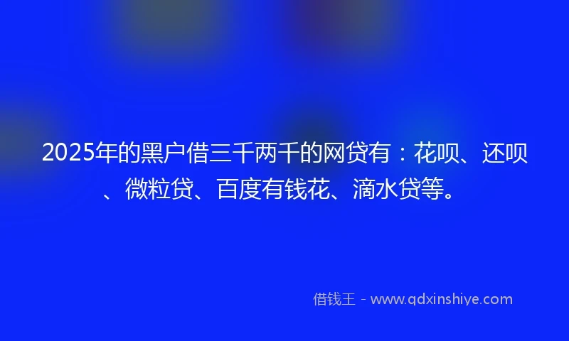 2025年的黑户借三千两千的网贷有:花呗、还呗、微粒贷、百度有钱花、滴水贷等。