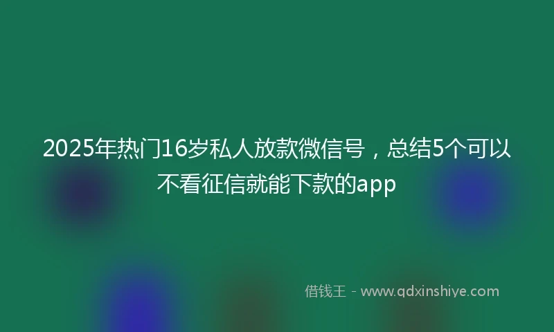 2025年热门16岁私人放款微信号，总结5个可以不看征信就能下款的app