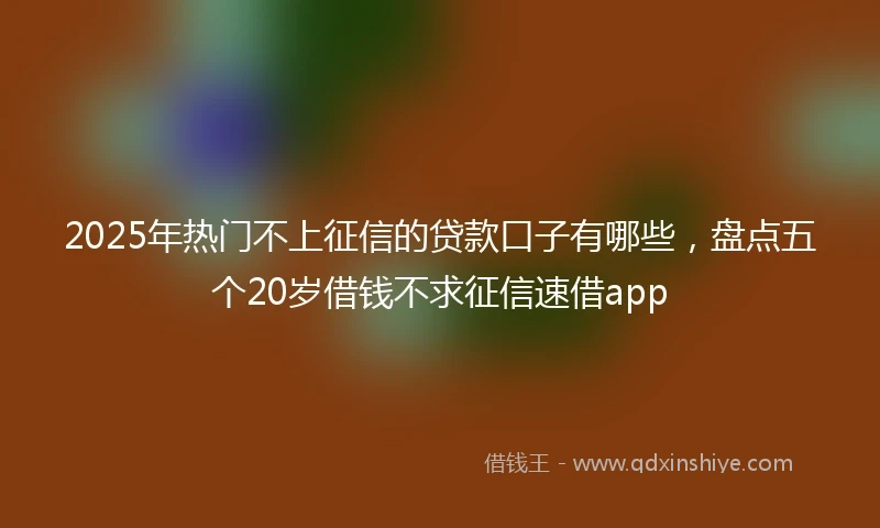 2025年热门不上征信的贷款口子有哪些，盘点五个20岁借钱不求征信速借app
