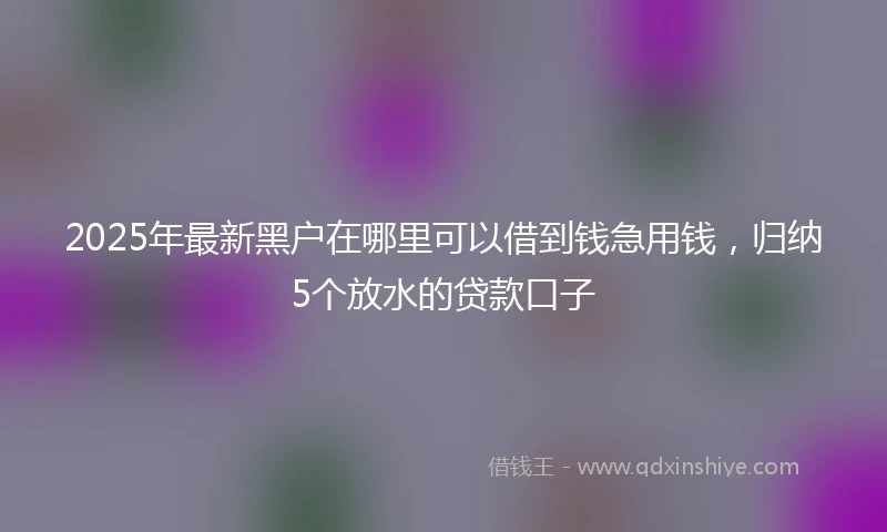 2025年最新黑户在哪里可以借到钱急用钱，归纳5个放水的贷款口子