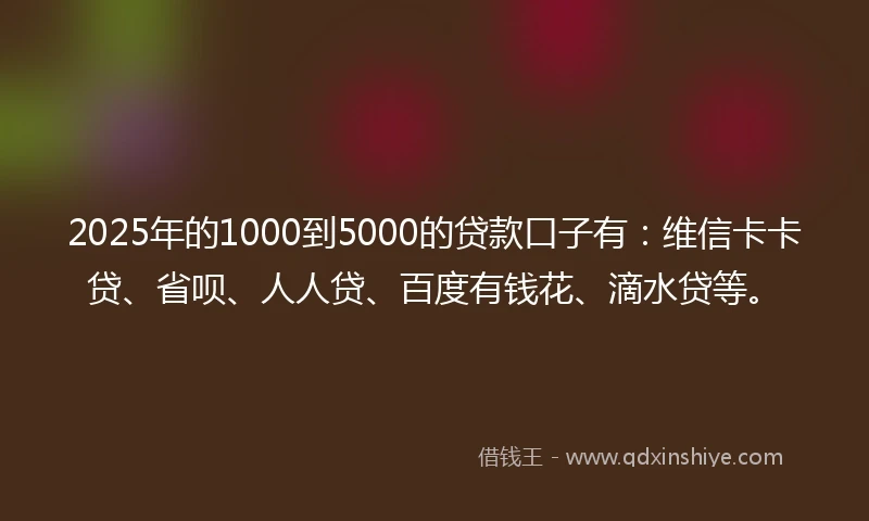 2025年的1000到5000的贷款口子有：维信卡卡贷、省呗、人人贷、百度有钱花、滴水贷等。