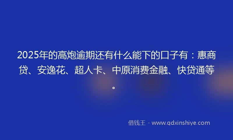 2025年的高炮逾期还有什么能下的口子有:惠商贷、安逸花、超人卡、中原消费金融、快贷通等。