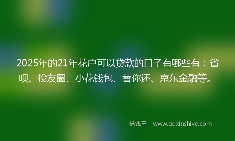 2025年的21年花户可以贷款的口子有哪些有：省呗、投友圈、小花钱包、替你还、京东金融等。