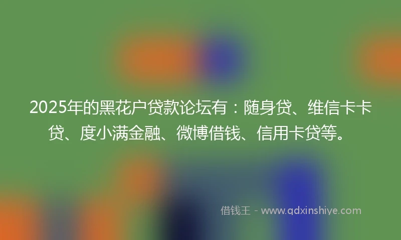 2025年的黑花户贷款论坛有：随身贷、维信卡卡贷、度小满金融、微博借钱、信用卡贷等。