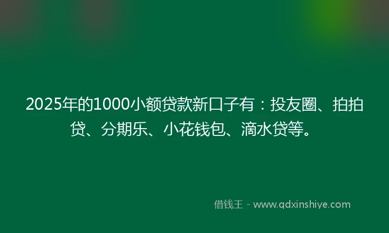 2025年的1000小额贷款新口子有：投友圈、拍拍贷、分期乐、小花钱包、滴水贷等。