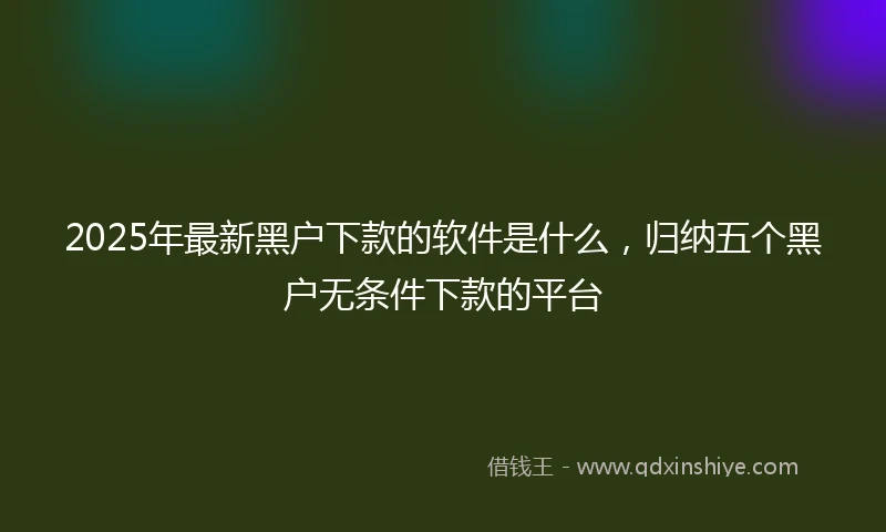2025年最新黑户下款的软件是什么,归纳五个黑户无条件下款的平台