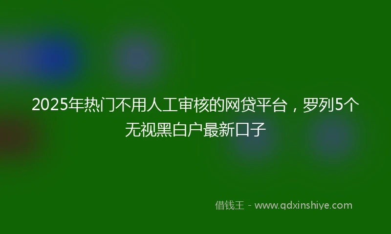 2025年热门不用人工审核的网贷平台，罗列5个无视黑白户最新口子