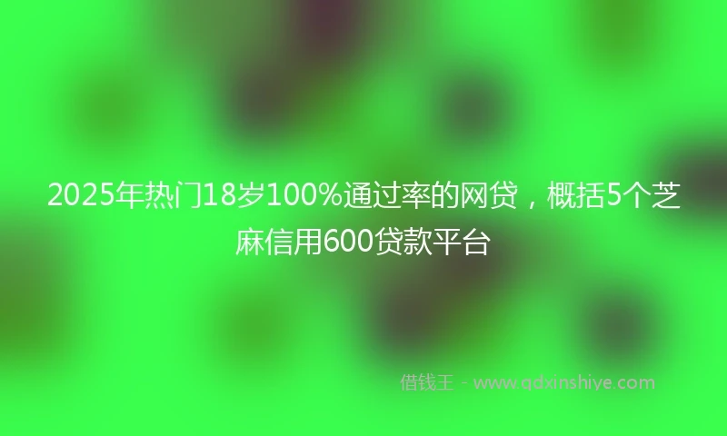 2025年热门18岁100%通过率的网贷，概括5个芝麻信用600贷款平台