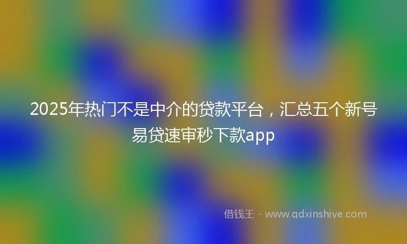 2025年热门不是中介的贷款平台，汇总五个新号易贷速审秒下款app
