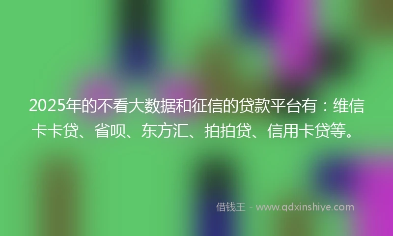 2025年的不看大数据和征信的贷款平台有：维信卡卡贷、省呗、东方汇、拍拍贷、信用卡贷等。