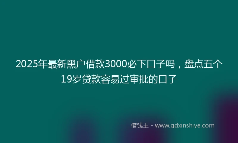 2025年最新黑户借款3000必下口子吗，盘点五个19岁贷款容易过审批的口子