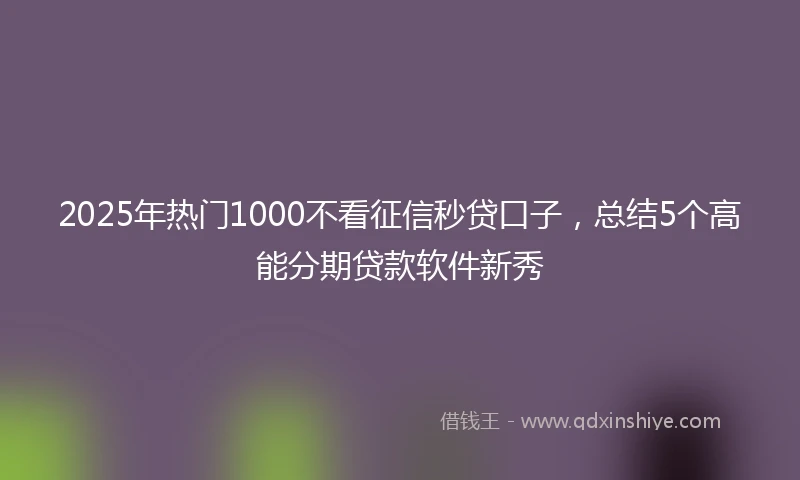 2025年热门1000不看征信秒贷口子，总结5个高能分期贷款软件新秀