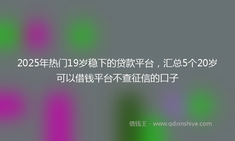2025年热门19岁稳下的贷款平台，汇总5个20岁可以借钱平台不查征信的口子