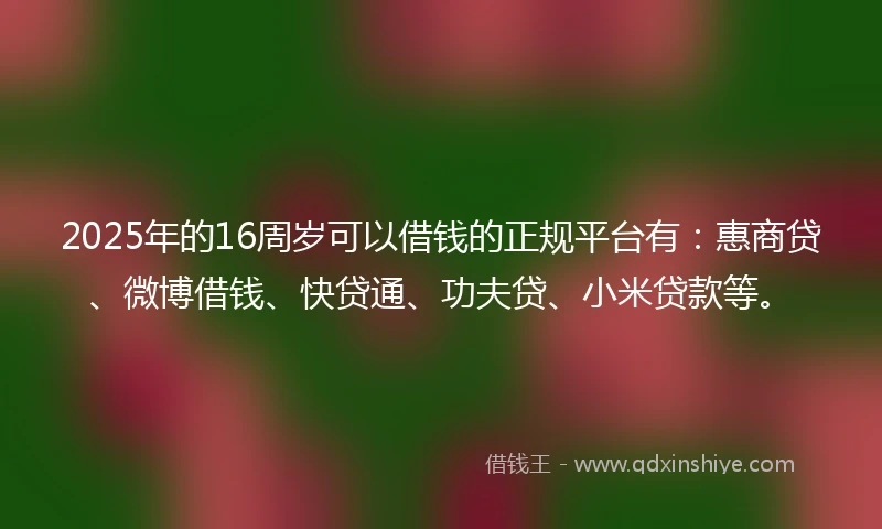 2025年的16周岁可以借钱的正规平台有：惠商贷、微博借钱、快贷通、功夫贷、小米贷款等。