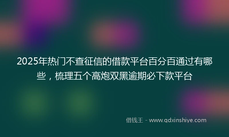 2025年热门不查征信的借款平台百分百通过有哪些，梳理五个高炮双黑逾期必下款平台