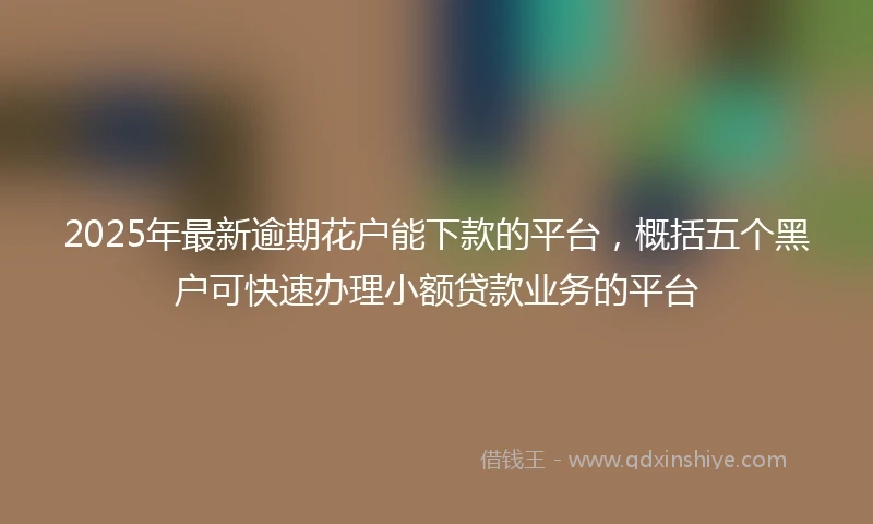 2025年最新逾期花户能下款的平台，概括五个黑户可快速办理小额贷款业务的平台