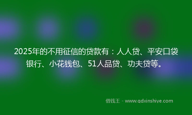 2025年的不用征信的贷款有：人人贷、平安口袋银行、小花钱包、51人品贷、功夫贷等。