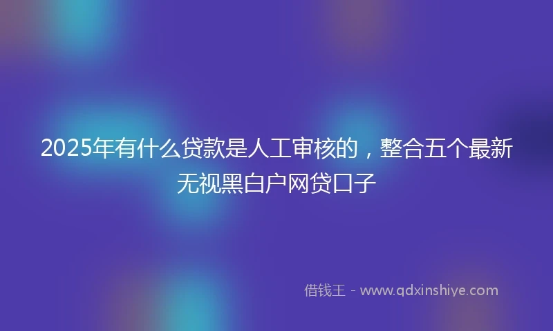 2025年有什么贷款是人工审核的，整合五个最新无视黑白户网贷口子