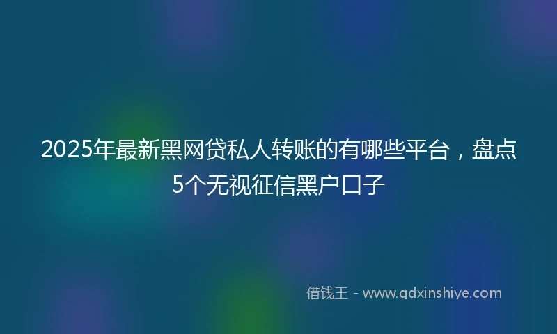 2025年最新黑网贷私人转账的有哪些平台，盘点5个无视征信黑户口子