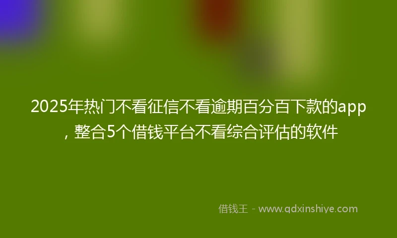 2025年热门不看征信不看逾期百分百下款的app，整合5个借钱平台不看综合评估的软件