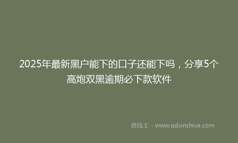 2025年最新黑户能下的口子还能下吗，分享5个高炮双黑逾期必下款软件