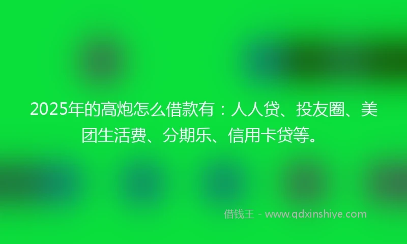 2025年的高炮怎么借款有:人人贷、投友圈、美团生活费、分期乐、信用卡贷等。