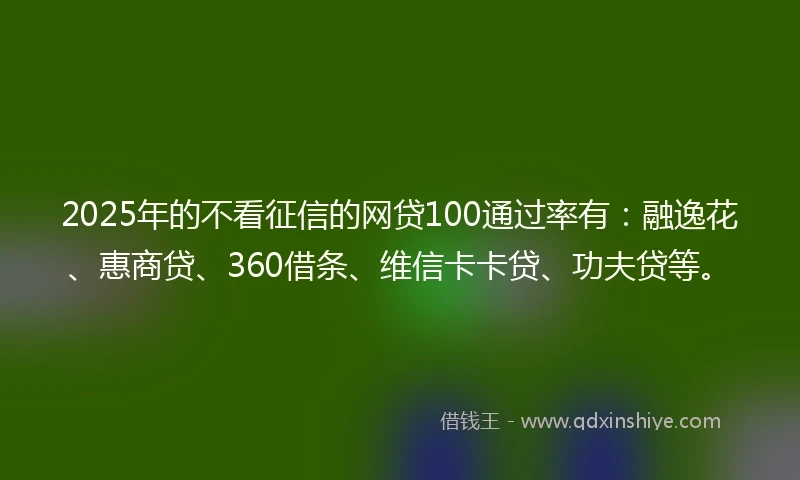 2025年的不看征信的网贷100通过率有：融逸花、惠商贷、360借条、维信卡卡贷、功夫贷等。