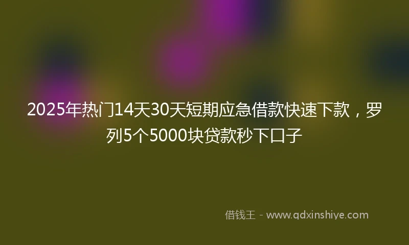 2025年热门14天30天短期应急借款快速下款，罗列5个5000块贷款秒下口子