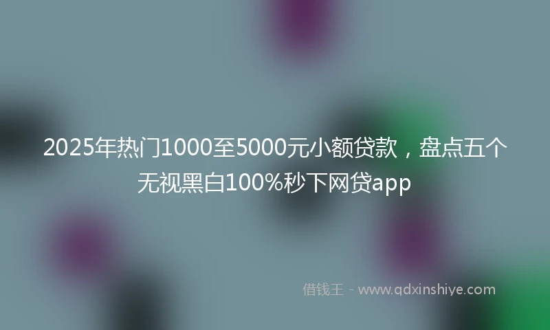 2025年热门1000至5000元小额贷款，盘点五个无视黑白100%秒下网贷app