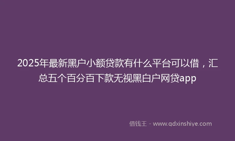 2025年最新黑户小额贷款有什么平台可以借,汇总五个百分百下款无视黑白户网贷app
