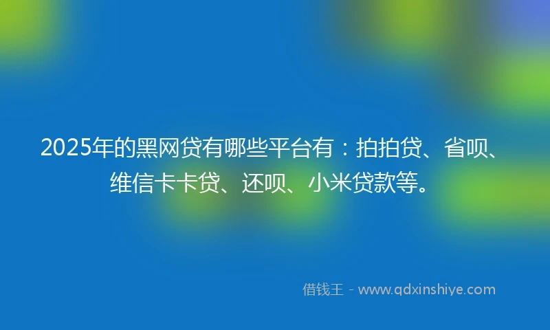 2025年的黑网贷有哪些平台有：拍拍贷、省呗、维信卡卡贷、还呗、小米贷款等。
