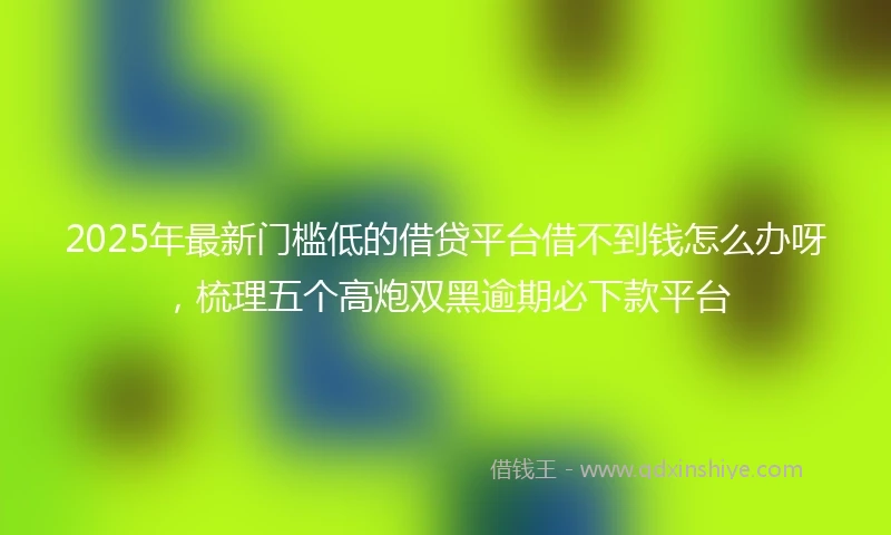 2025年最新门槛低的借贷平台借不到钱怎么办呀,梳理五个高炮双黑逾期必下款平台