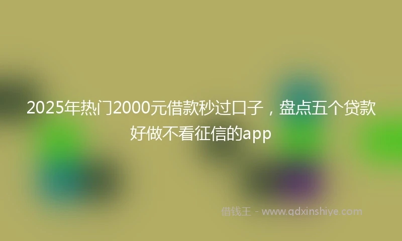 2025年热门2000元借款秒过口子，盘点五个贷款好做不看征信的app