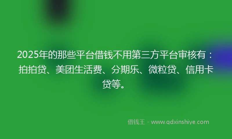 2025年的那些平台借钱不用第三方平台审核有：拍拍贷、美团生活费、分期乐、微粒贷、信用卡贷等。