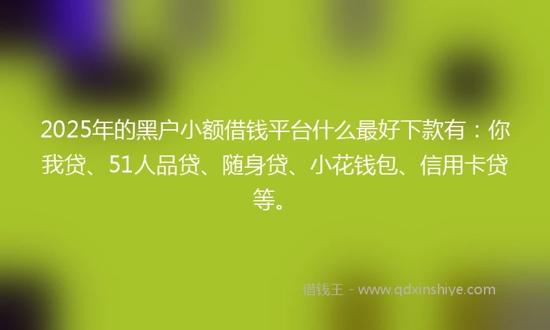 2025年的黑户小额借钱平台什么最好下款有：你我贷、51人品贷、随身贷、小花钱包、信用卡贷等。