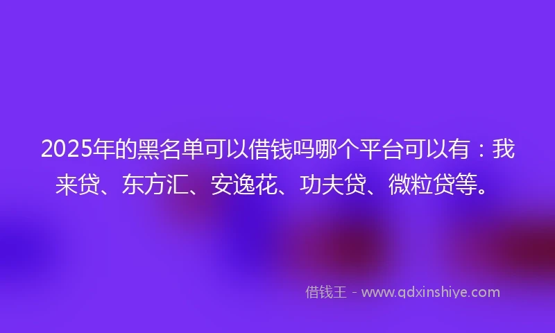 2025年的黑名单可以借钱吗哪个平台可以有：我来贷、东方汇、安逸花、功夫贷、微粒贷等。
