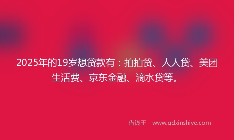 2025年的19岁想贷款有：拍拍贷、人人贷、美团生活费、京东金融、滴水贷等。
