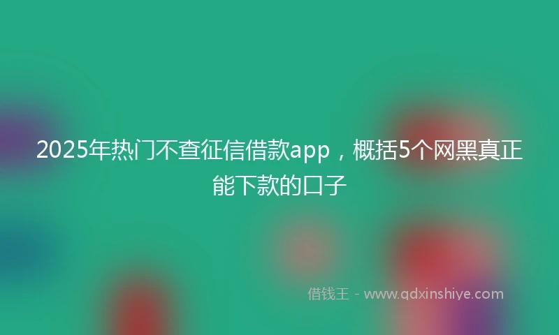 2025年热门不查征信借款app，概括5个网黑真正能下款的口子