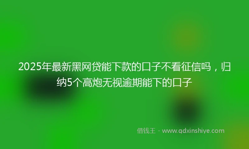 2025年最新黑网贷能下款的口子不看征信吗，归纳5个高炮无视逾期能下的口子