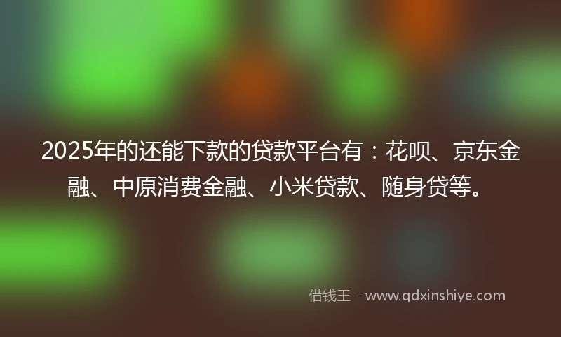 2025年的还能下款的贷款平台有：花呗、京东金融、中原消费金融、小米贷款、随身贷等。