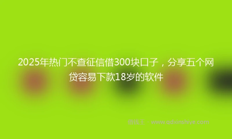 2025年热门不查征信借300块口子，分享五个网贷容易下款18岁的软件