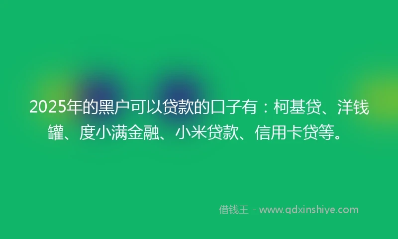 2025年的黑户可以贷款的口子有：柯基贷、洋钱罐、度小满金融、小米贷款、信用卡贷等。