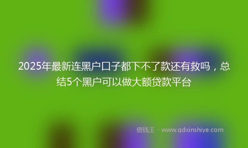 2025年最新连黑户口子都下不了款还有救吗,总结5个黑户可以做大额贷款平台