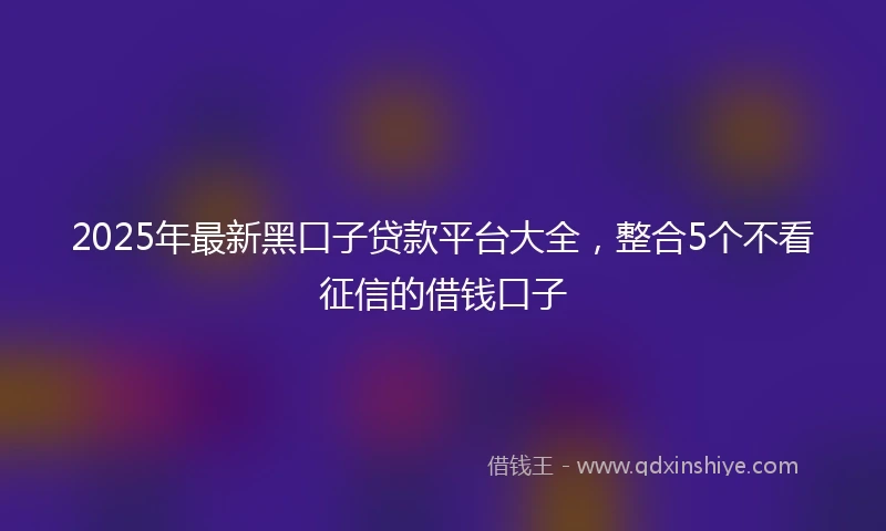 2025年最新黑口子贷款平台大全，整合5个不看征信的借钱口子