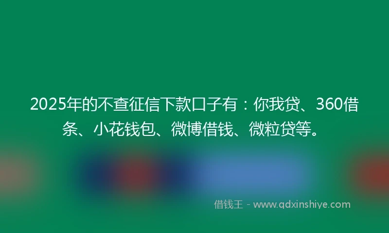 2025年的不查征信下款口子有：你我贷、360借条、小花钱包、微博借钱、微粒贷等。