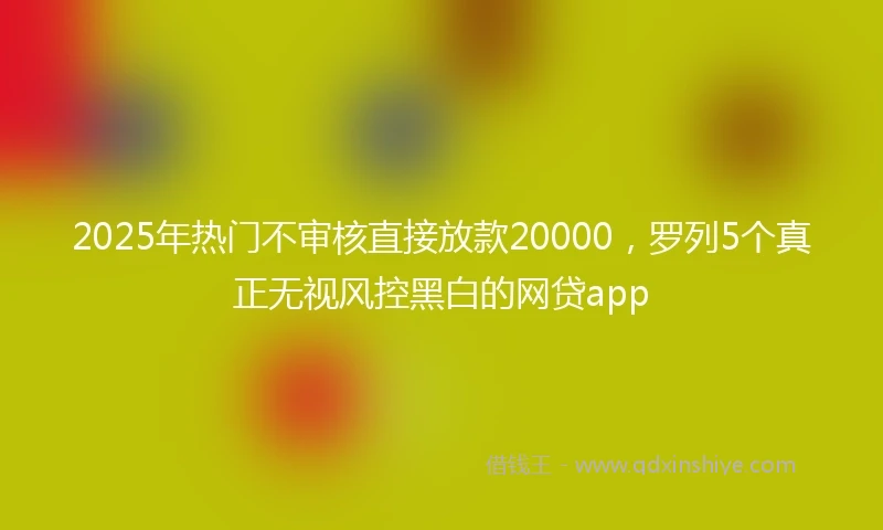 2025年热门不审核直接放款20000,罗列5个真正无视风控黑白的网贷app